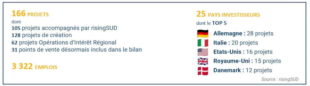 VISUEL IDE PAYS INVESTISSEURS.png